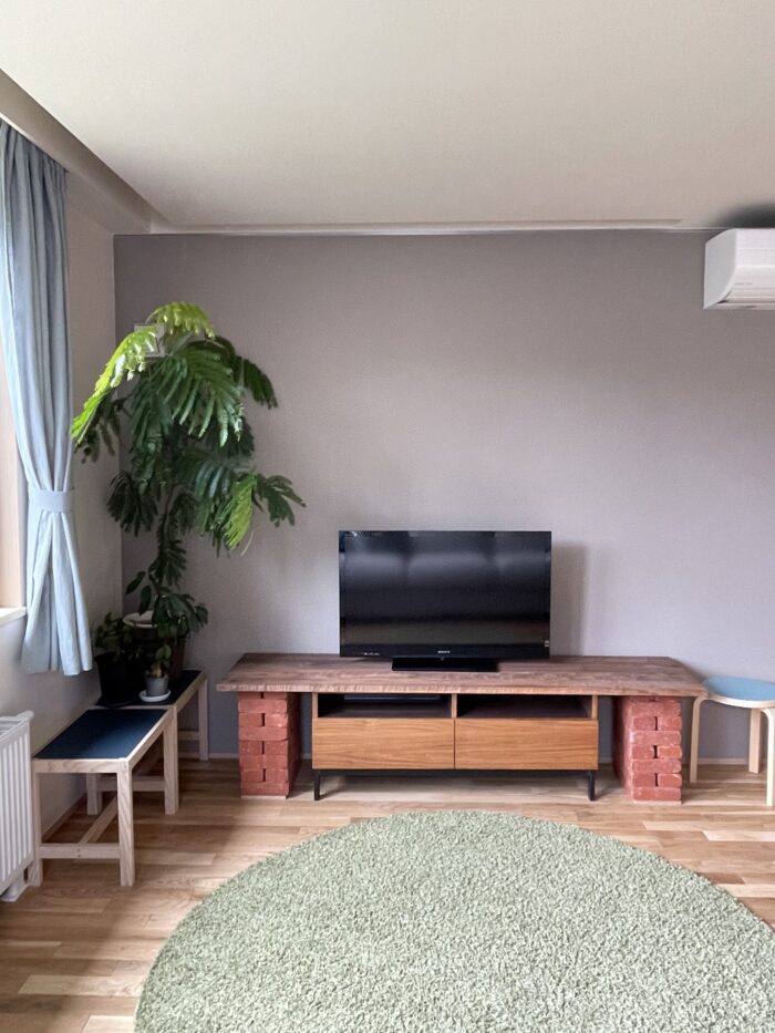 室内の植栽