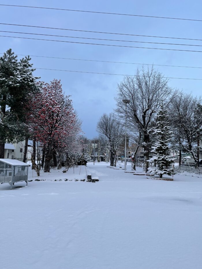 根雪だね。。。