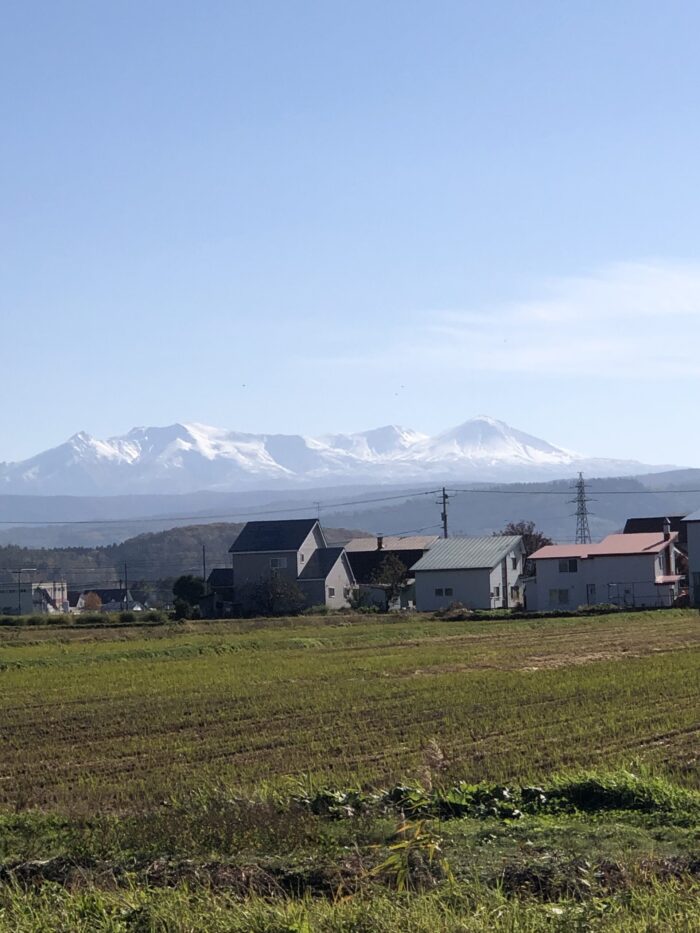 窓からの風景