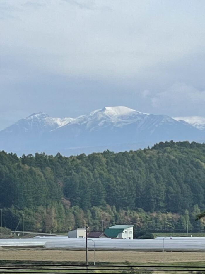 山が。。。白い。。