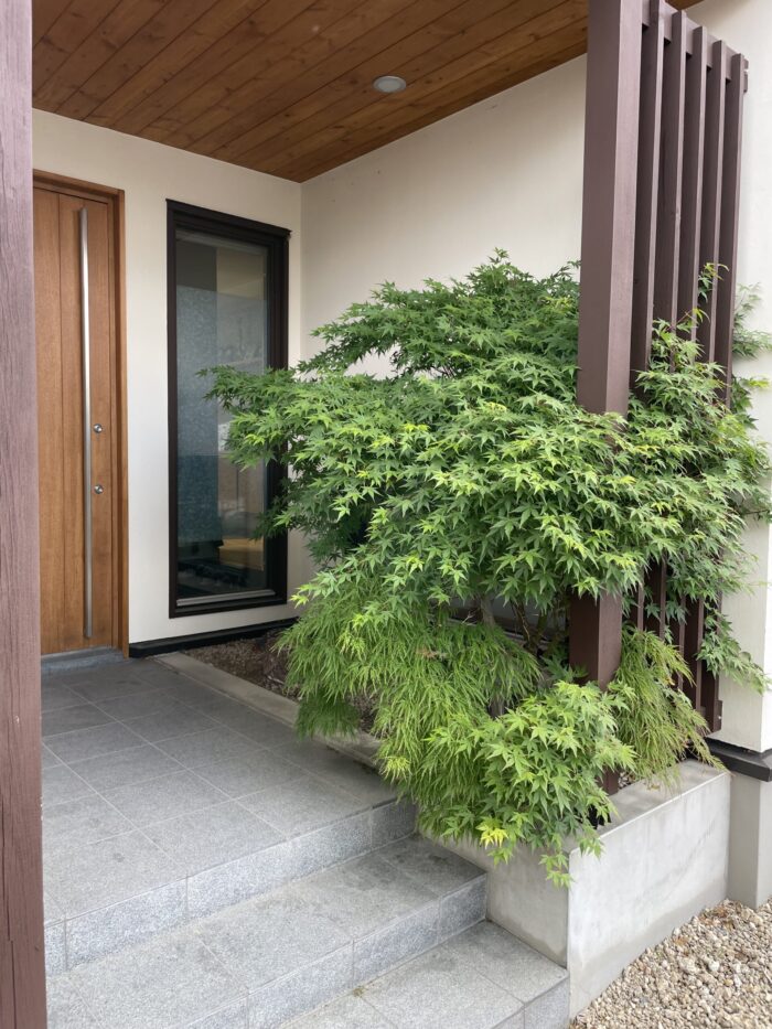 玄関の植栽