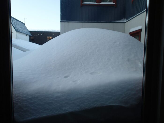 3月の大雪。。。