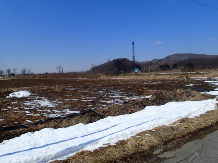 雪が融けて。。。