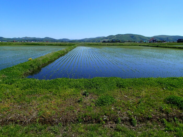 現場から見える風景