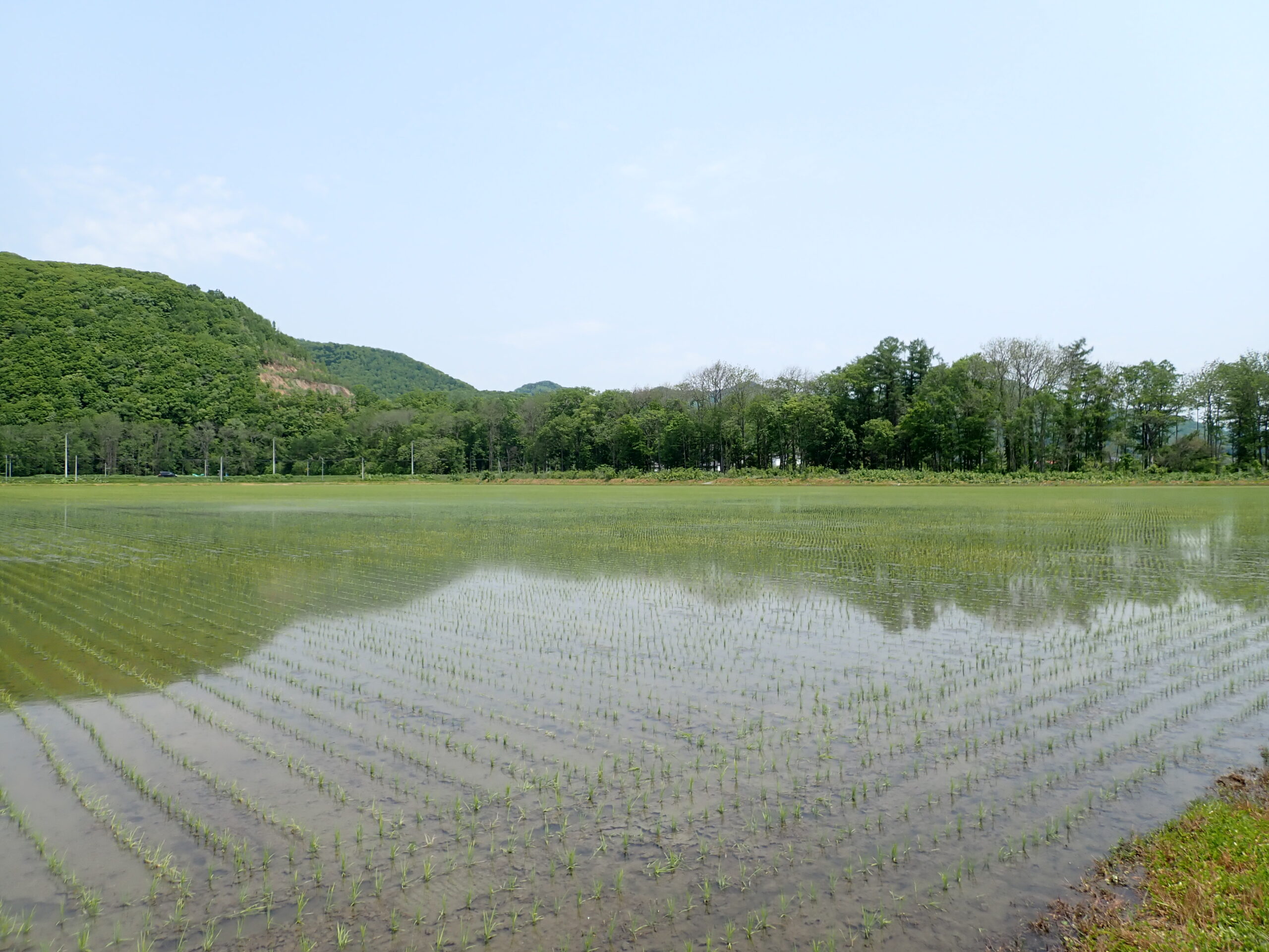 窓から見える風景