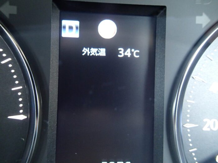 残暑。。。