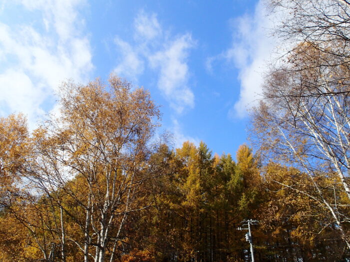 今年も　あと2か月