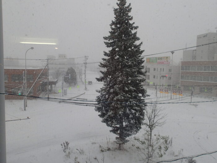 根雪だね。。。