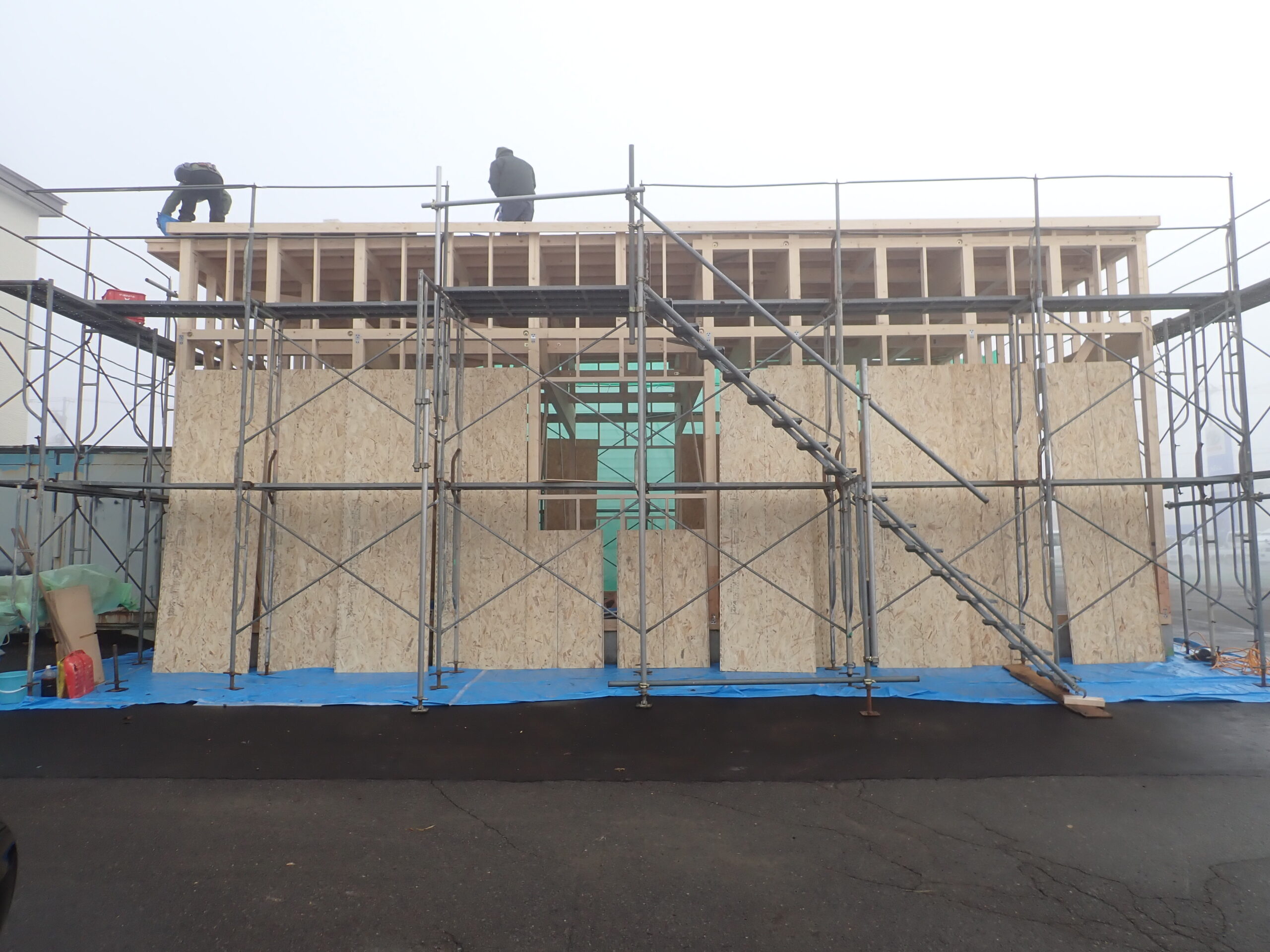 構造用合板施工